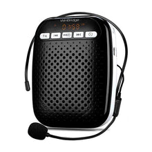 WinBridge Voice Amplifier W378 with Headset & Lavalier Microphone Portable Rechargeable PA System Speaker Built In FM Stereo Radio